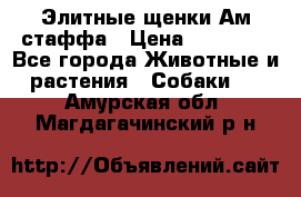 Элитные щенки Ам.стаффа › Цена ­ 25 000 - Все города Животные и растения » Собаки   . Амурская обл.,Магдагачинский р-н